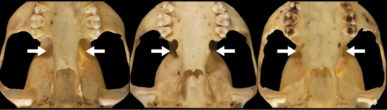 Figure 19.