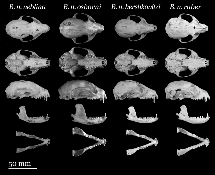 Figure 10.