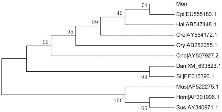 Figure 4