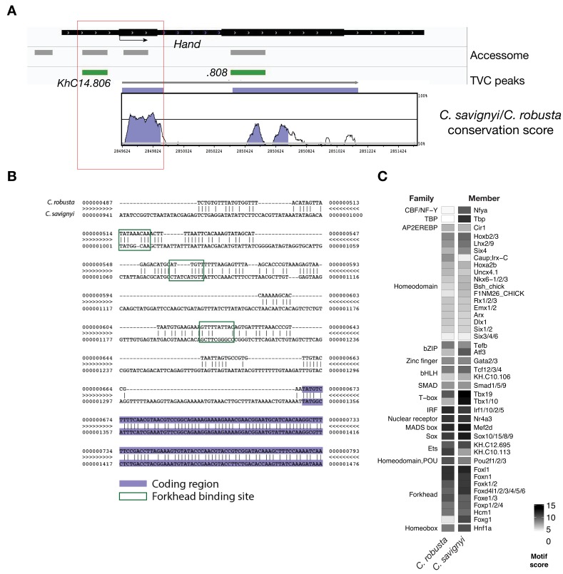 Figure 3—figure supplement 5.