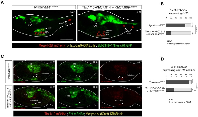 Figure 5—figure supplement 4.