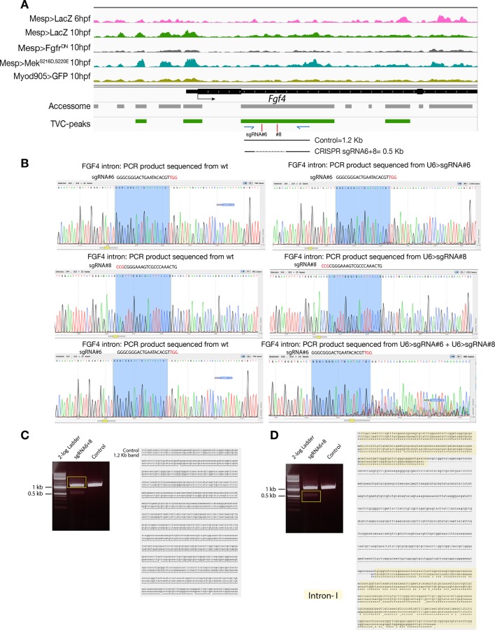 Figure 2—figure supplement 6.