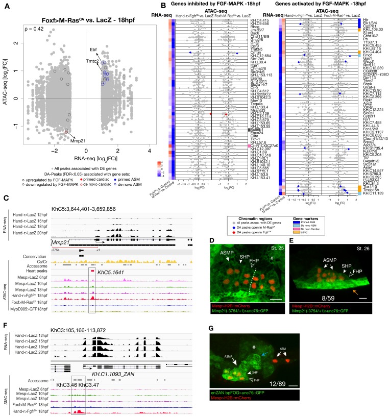 Figure 4—figure supplement 2.