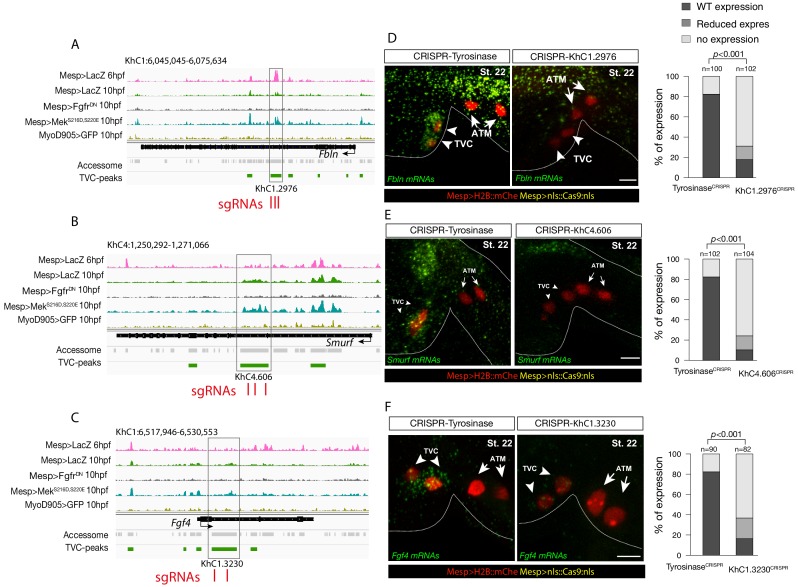 Figure 2—figure supplement 5.