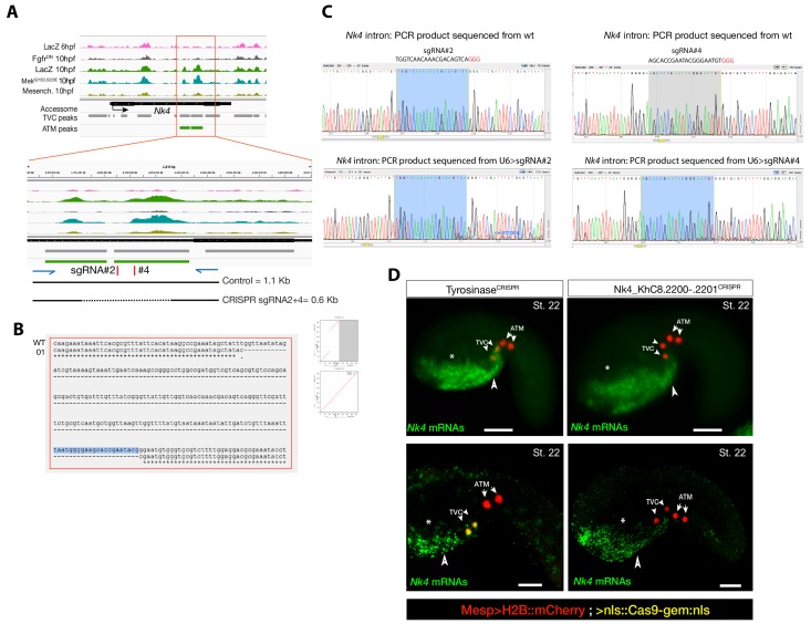 Figure 2—figure supplement 3.