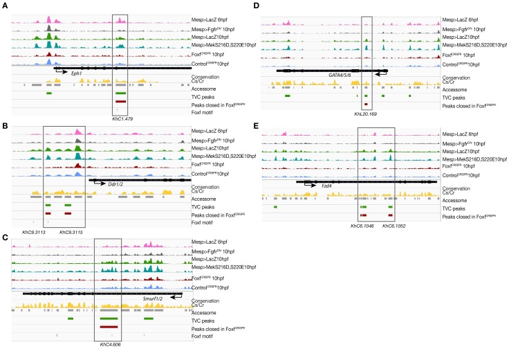 Figure 3—figure supplement 4.