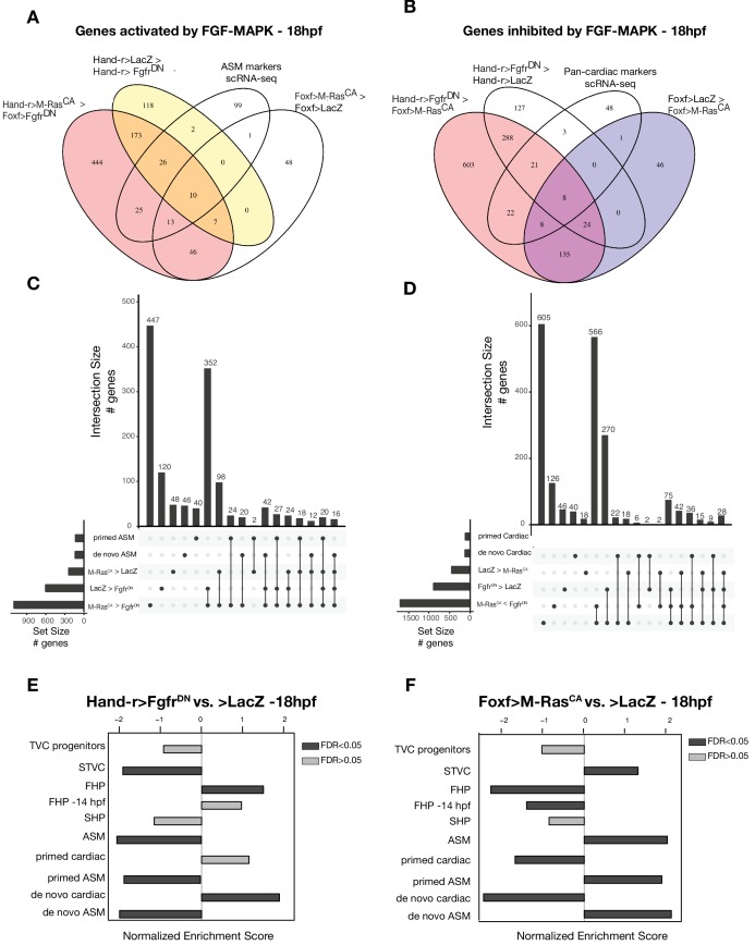 Figure 4—figure supplement 1.