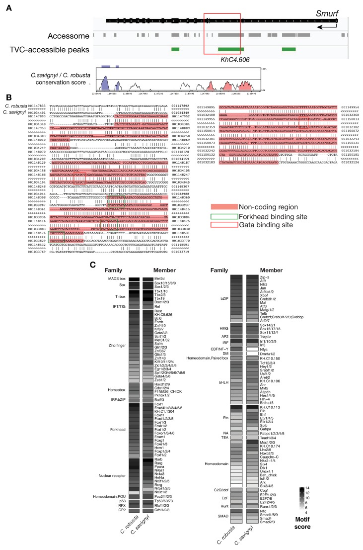 Figure 3—figure supplement 6.