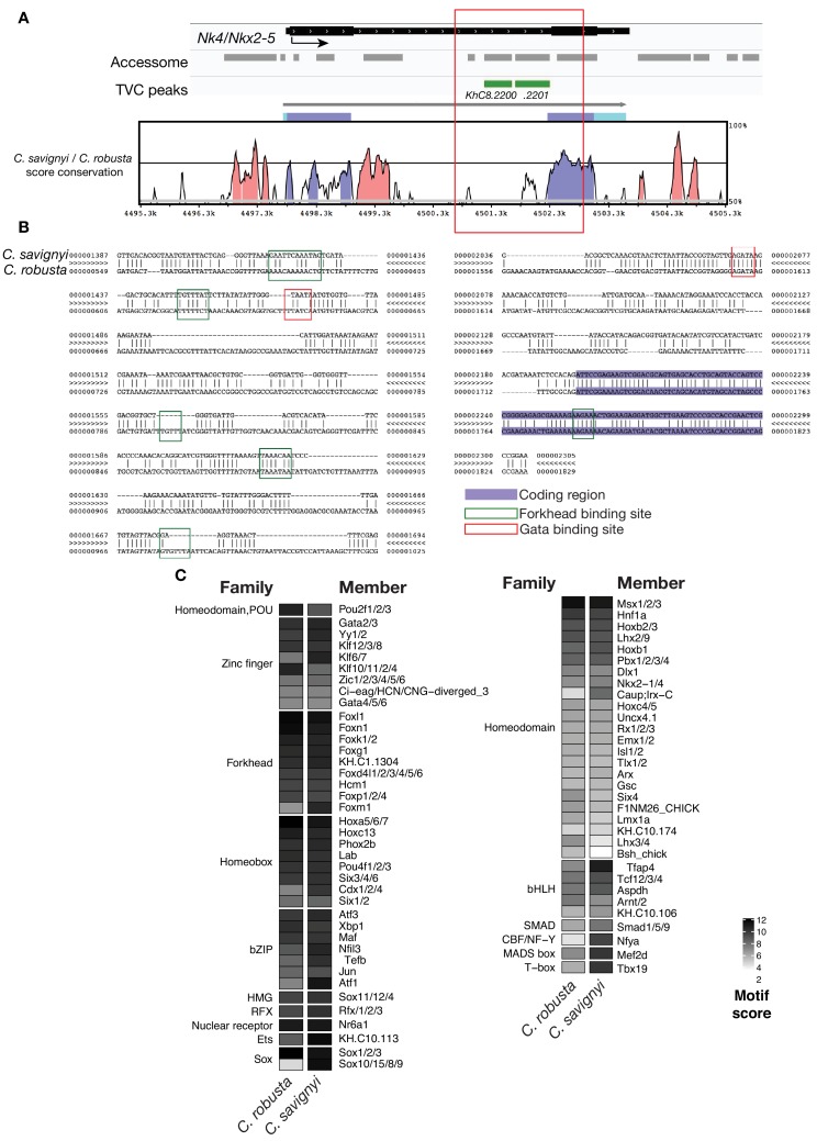 Figure 3—figure supplement 3.