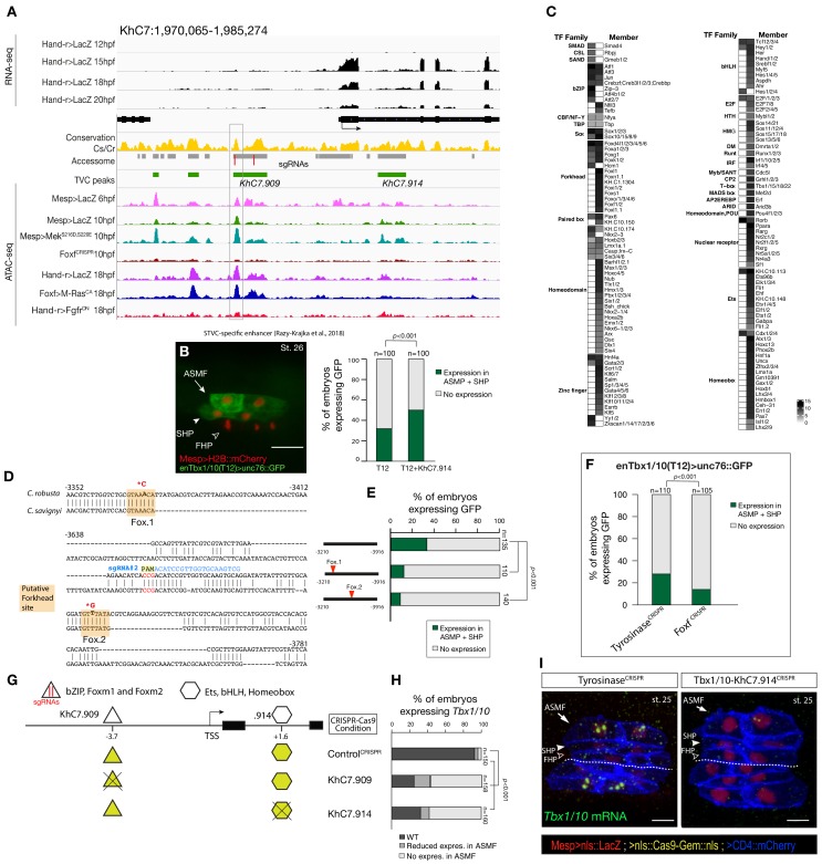 Figure 5—figure supplement 1.