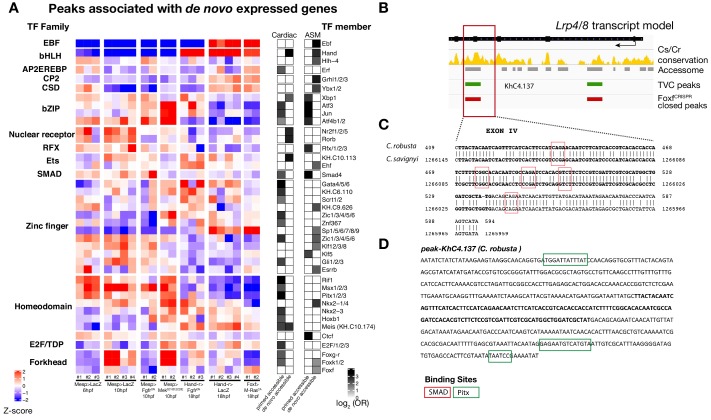 Figure 4—figure supplement 4.