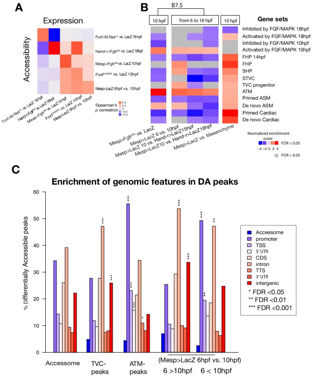 Figure 2—figure supplement 2.