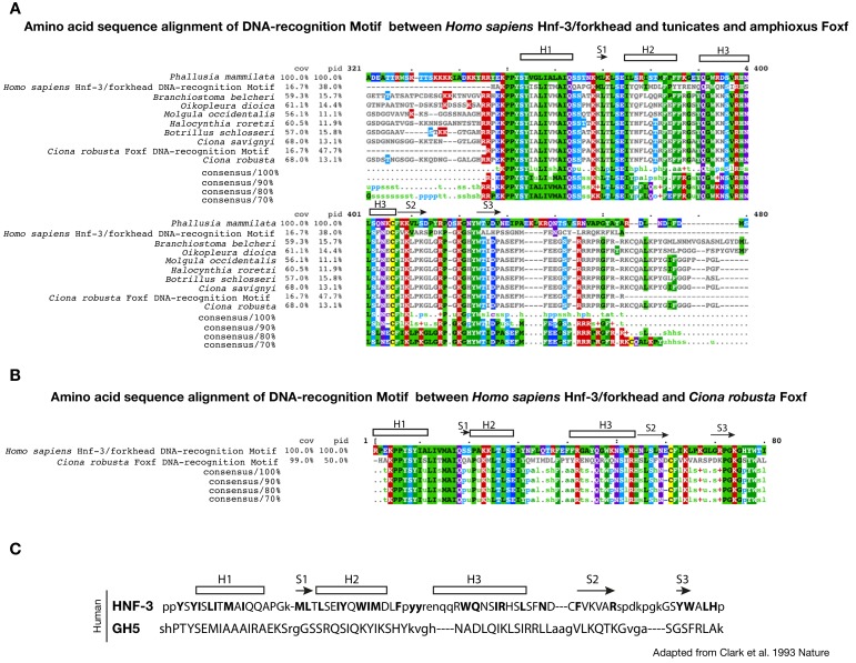 Figure 3—figure supplement 1.