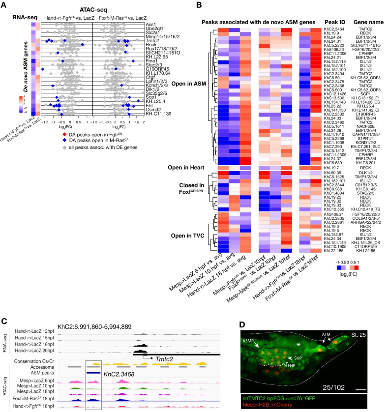 Figure 4—figure supplement 3.