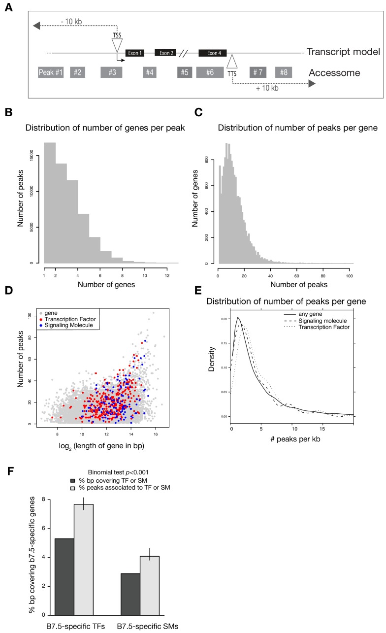 Figure 1—figure supplement 3.