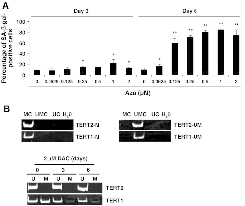 Figure 6