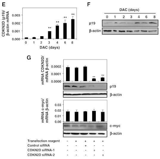 Figure 5