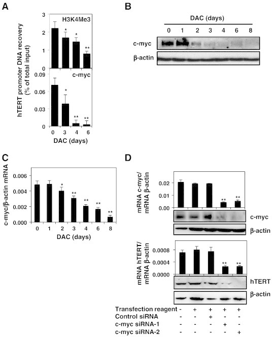 Figure 5