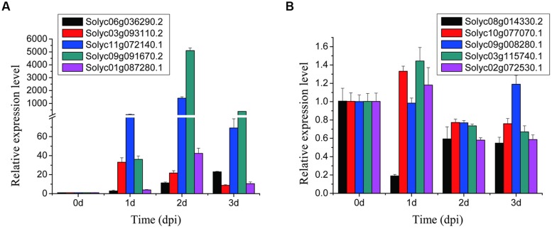 FIGURE 3