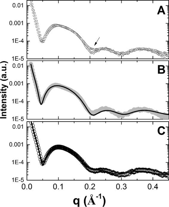 FIG 1