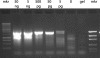 FIG. 2.