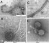 FIG. 1.