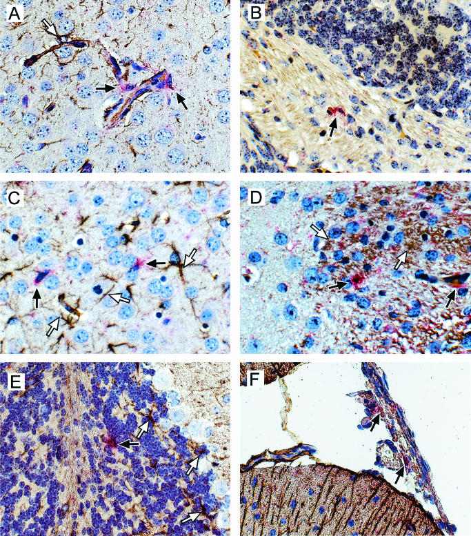 FIG. 6.