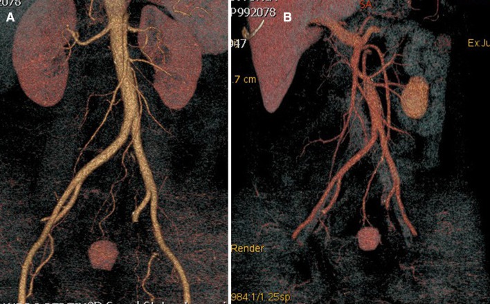 Fig. 3