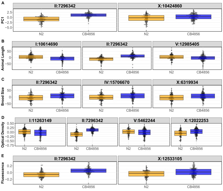 Figure 1—figure supplement 4.