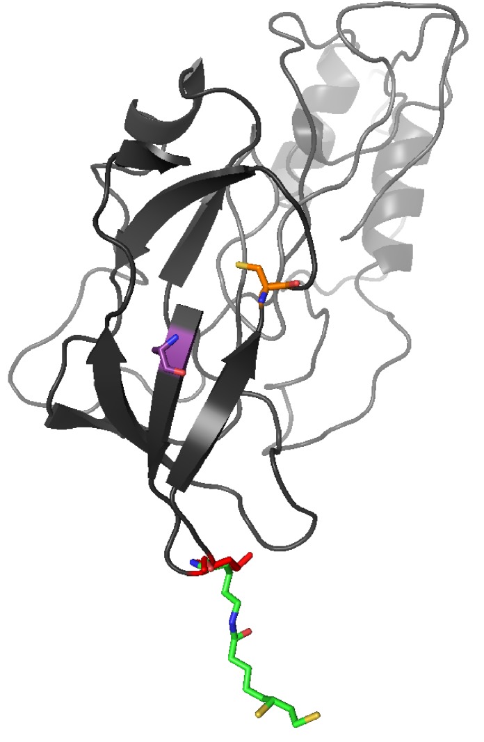 Figure 5—figure supplement 1.