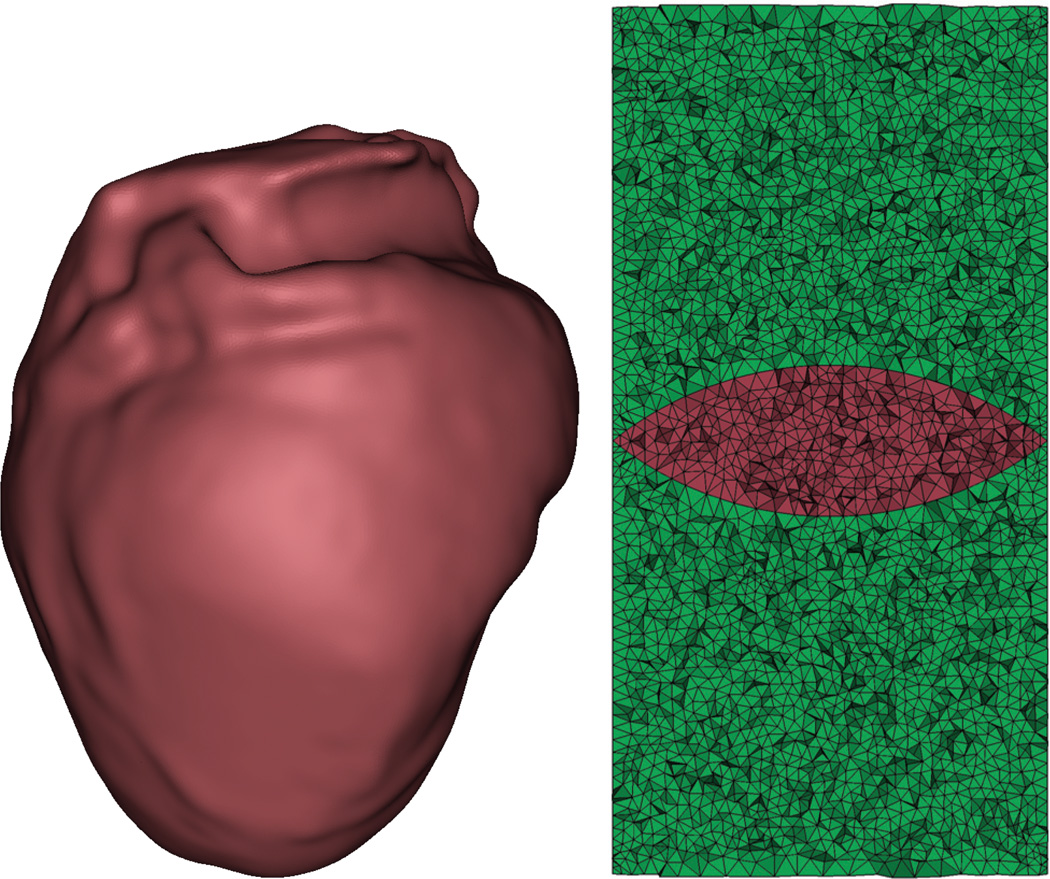 Fig. 1.1