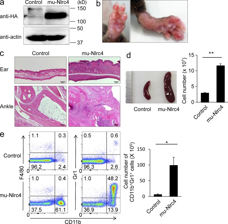 Figure 4.