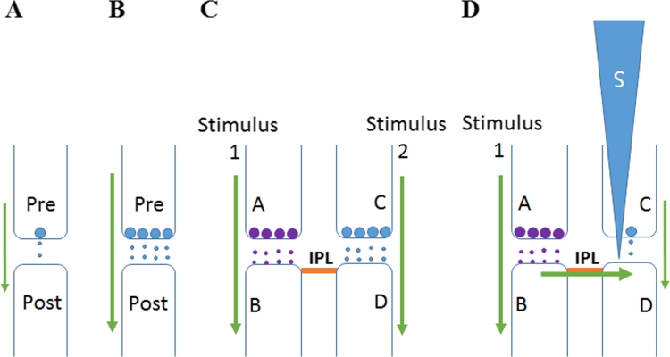 Fig. 1.