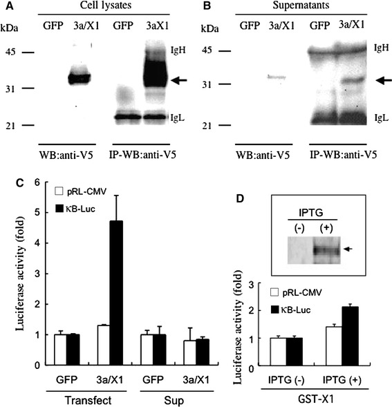 Fig. 2