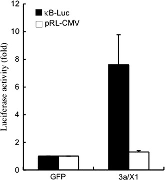 Fig. 3