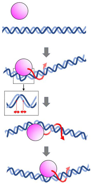 Fig. 6.