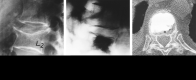 <sc>fig</sc> 1.