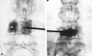 <sc>fig</sc> 4.