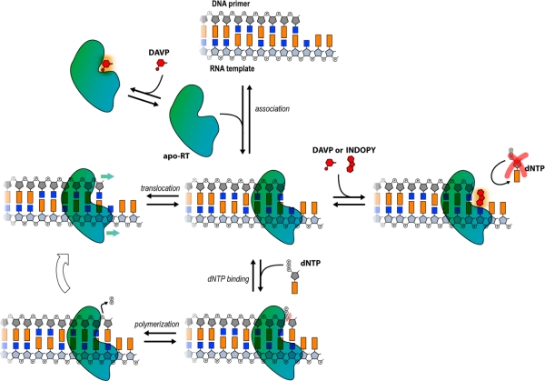 Figure 10.