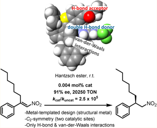 graphic file with name nihms-1697244-f0001.jpg