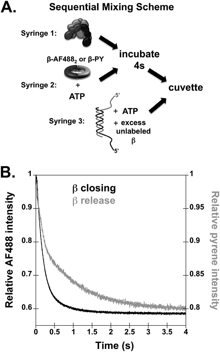 FIGURE 1.