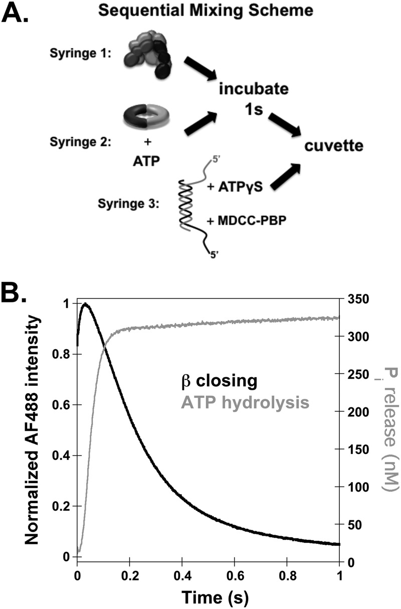 FIGURE 4.