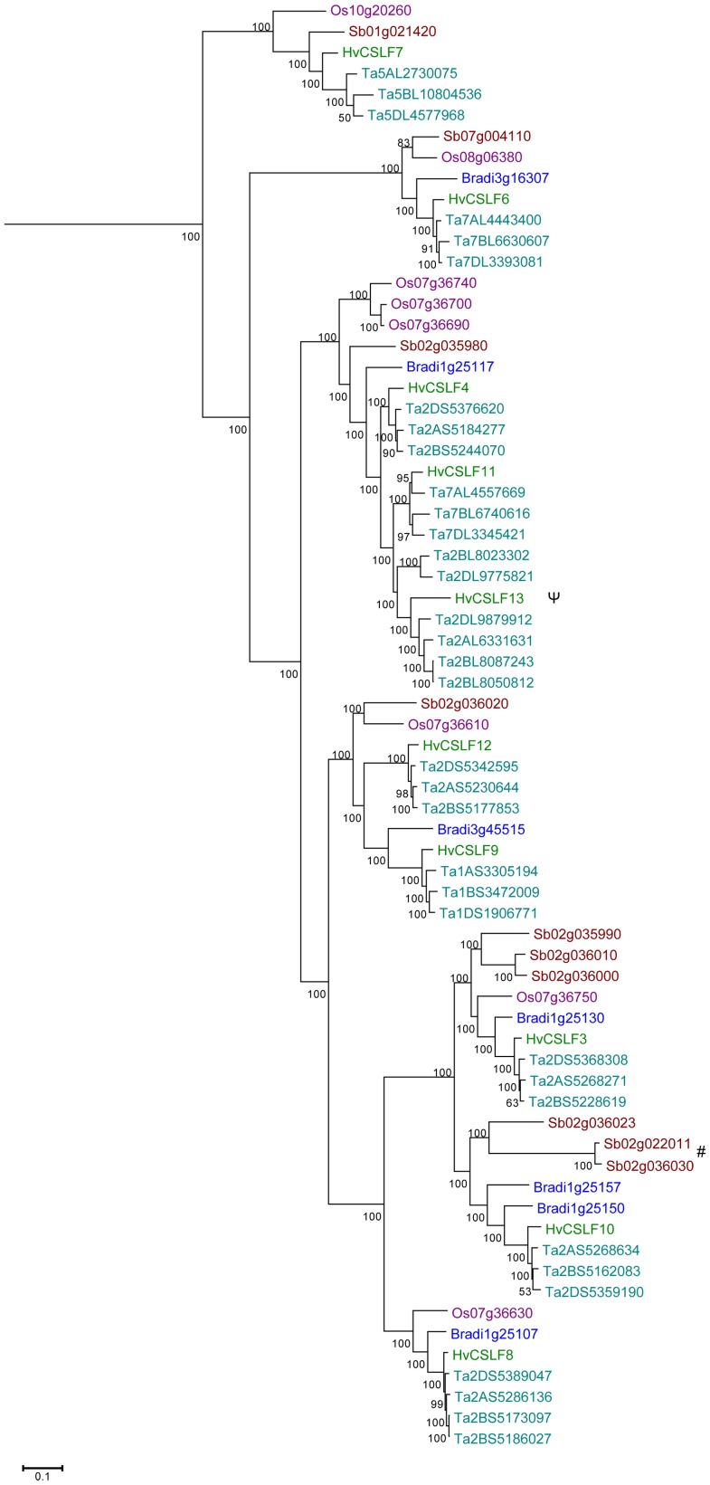 Figure 7