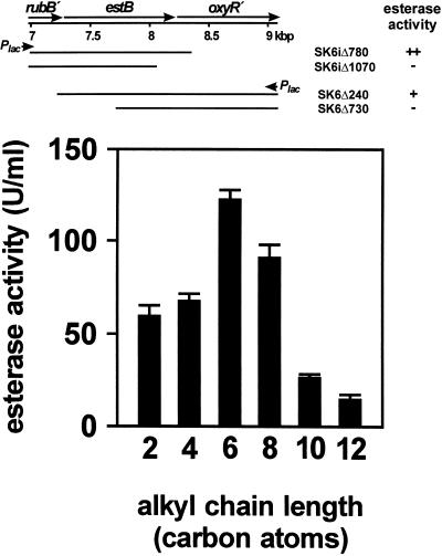 FIG. 5