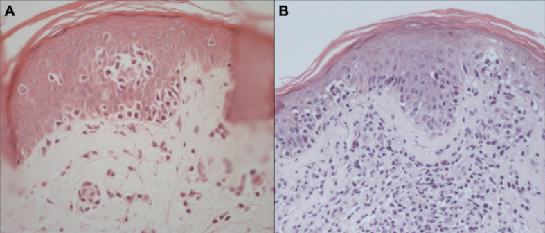 Figure 10