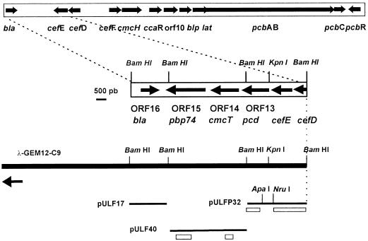 FIG. 1