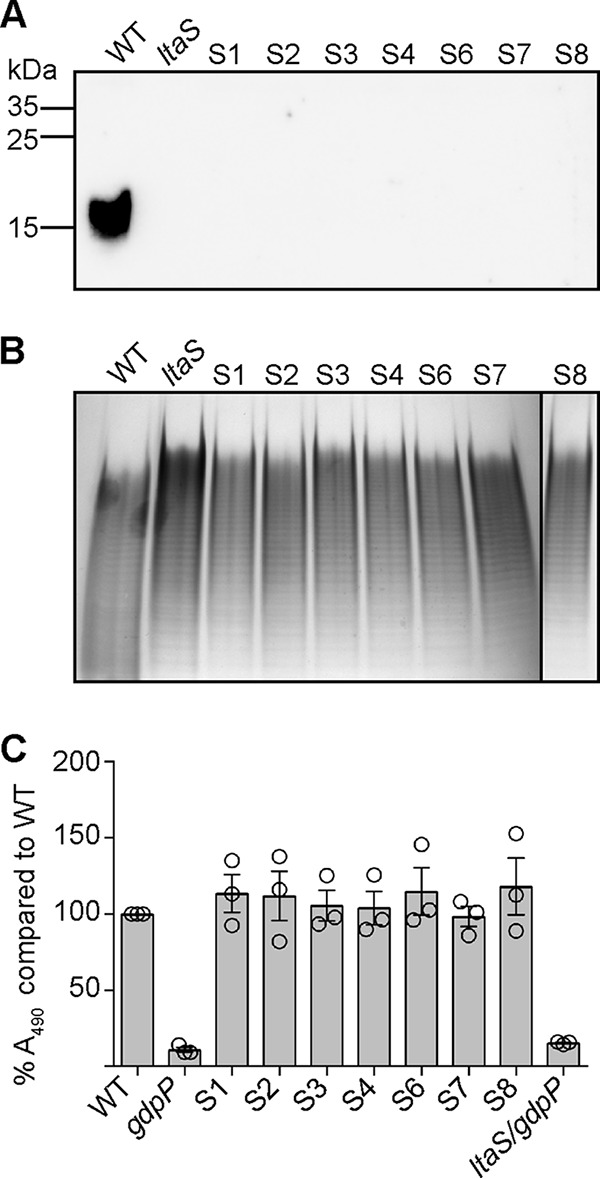 FIG 1