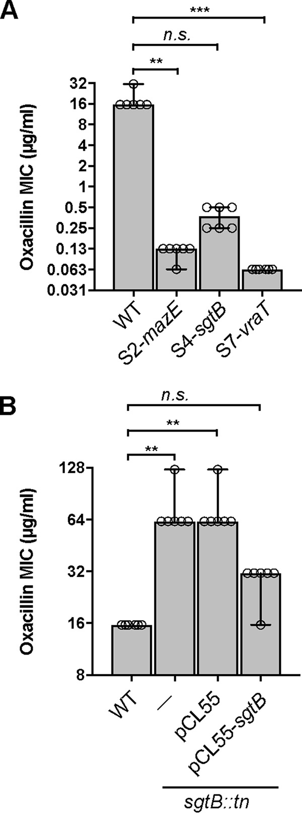 FIG 3