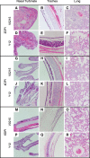 Fig. 8