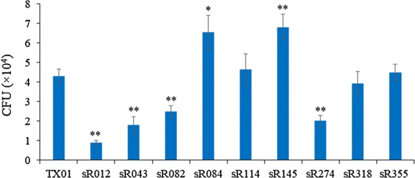 Figure 7